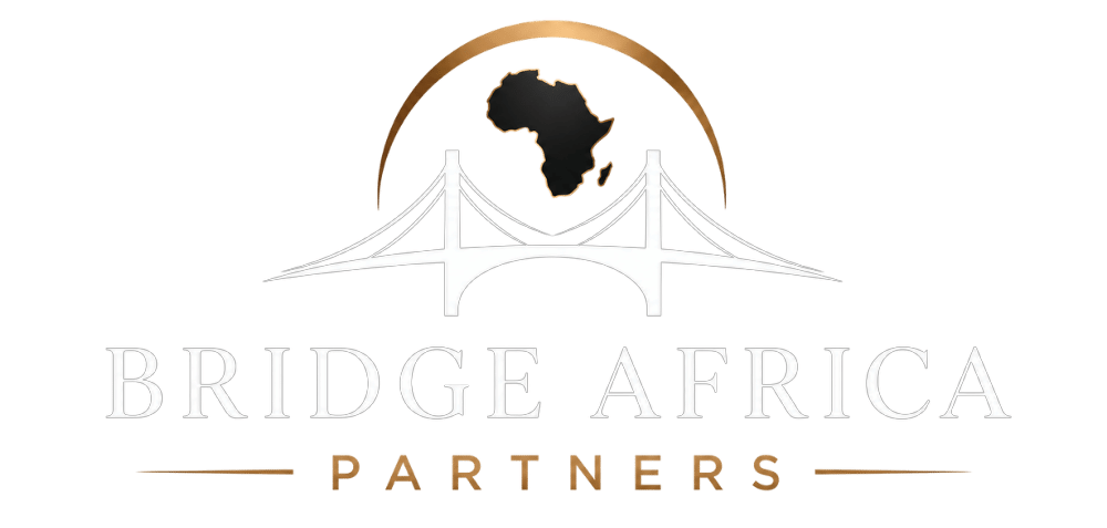 Bridge Africa logo white transparent